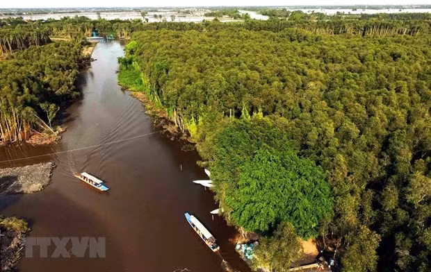 Organizan tours para fuerzas en primera línea de combate a la pandemia en Vietnam ảnh 1