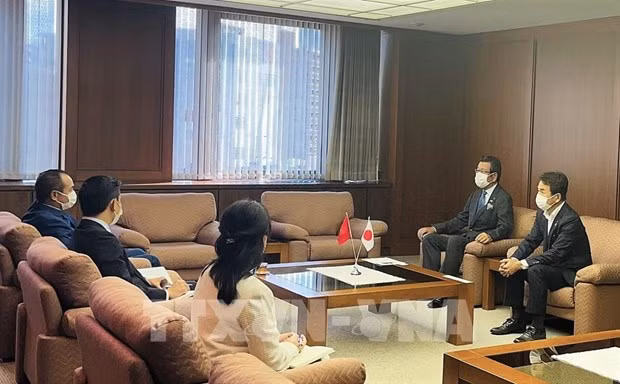 Empresas japonesas desean expandir inversiones en Vietnam ảnh 1