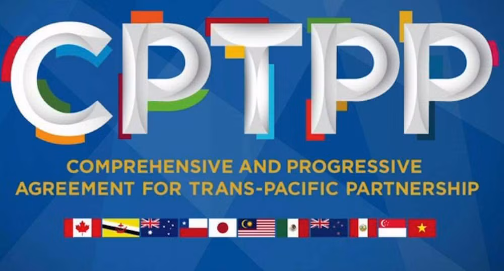 Vietnam dispuesto a compartir experiencias en adhesión al CPTPP ảnh 2