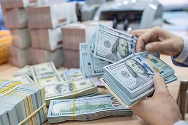 Crecen 32,4 por ciento las inversiones vietnamitas en el extranjero ảnh 1
