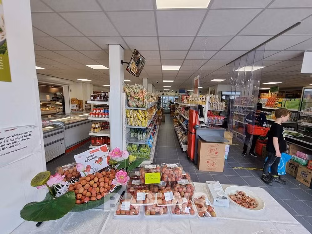 Holanda, puente para exportar productos vietnamitas a Unión Europea ảnh 1