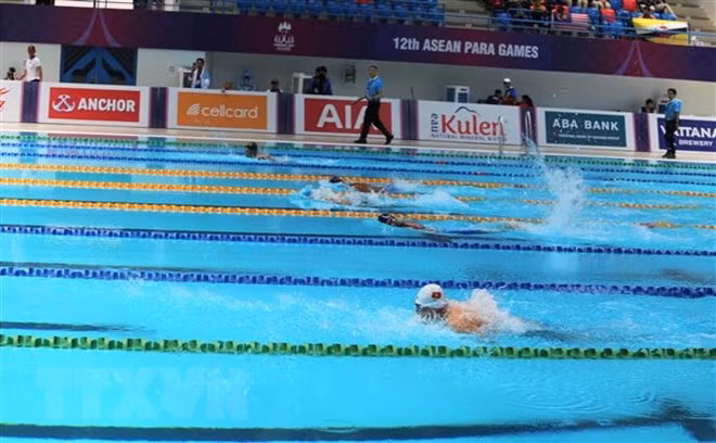 Nadadores vietnamitas establecen seis plusmarcas en Juegos Paralímpicos regionales ảnh 1