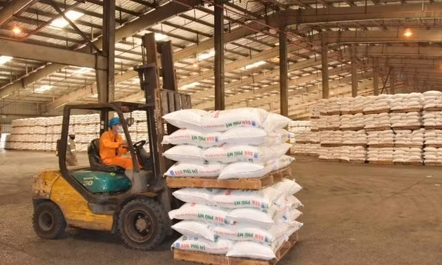 Caen exportaciones de fertilizantes de Vietnam ảnh 1 Caen exportaciones de fertilizantes de Vietnam ảnh 1