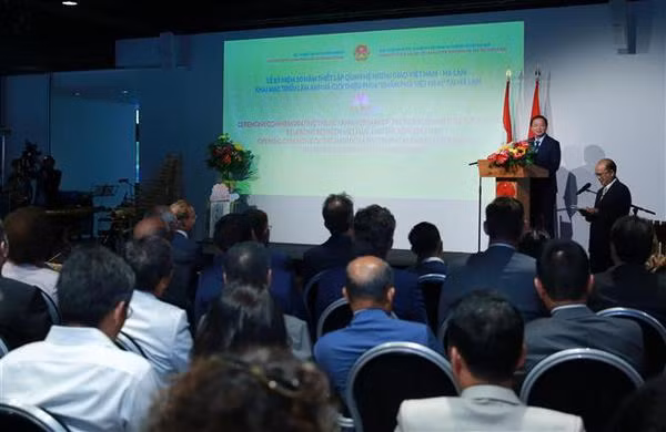 Vietnam-Países Bajos: Por un desarrollo sustantivo de relaciones multifacéticas ảnh 3