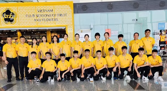 Conquista Vietnam medalla dorada en Torneo juvenil de tenis de mesa regional ảnh 1