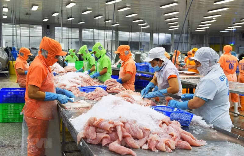 México, octavo mayor importador de atún de Vietnam ảnh 1
