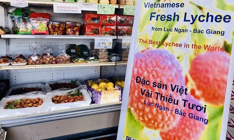 Venden en Estados Unidos lichis vietnamitas ảnh 1