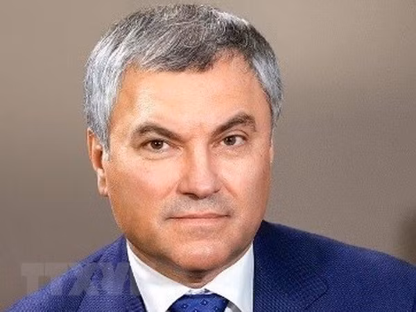 Se pospone visita del presidente de Duma Estatal de Rusia a Vietnam ảnh 1