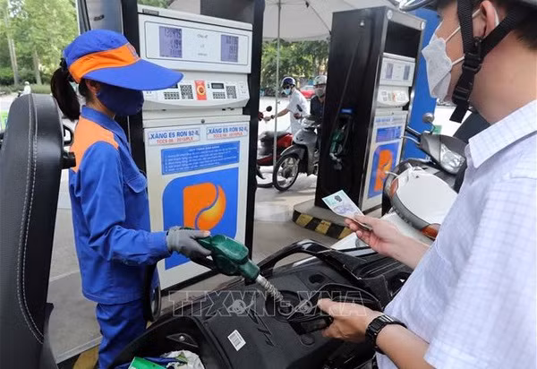 Predice IPV aumento ligero de precios de combustibles ảnh 1