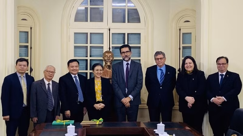 Vietnam y Brasil promueven intercambio entre pueblos ảnh 1