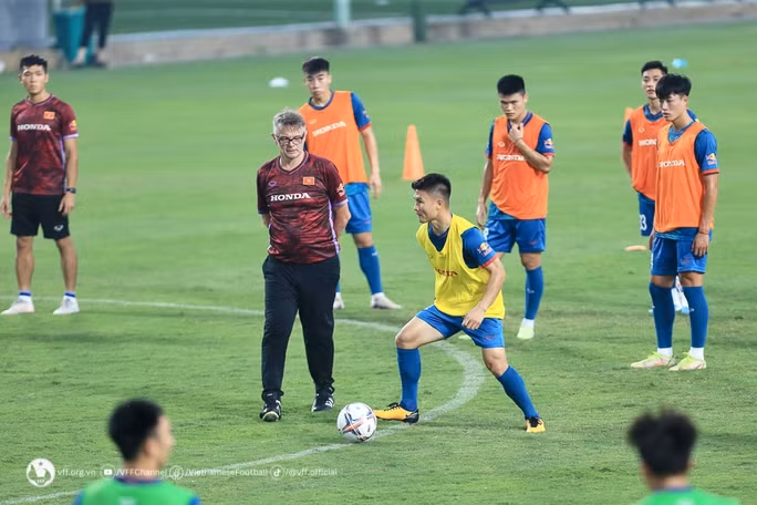Vietnam y Hong Kong (China) jugarán partido amistoso ảnh 1