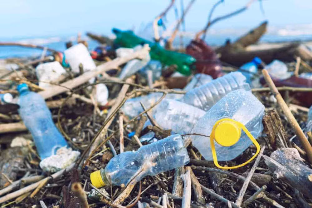 Vietnam por repeler “contaminación blanca” y desarrollar economía marítima ảnh 2 Vietnam por repeler “contaminación blanca” y desarrollar economía marítima ảnh 2