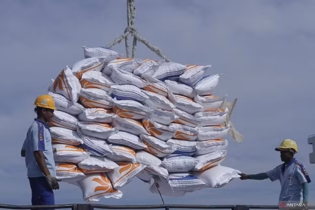 Indonesia firma acuerdo sobre importación de un millón de toneladas de arroz de India ảnh 1