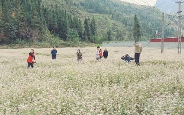 Ha Giang promueve desarrollo sostenible de turismo comunitario ảnh 1 Ha Giang promueve desarrollo sostenible de turismo comunitario ảnh 1