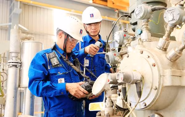 Desarrolla Vietnam plataforma de fuerza laboral digital ảnh 1