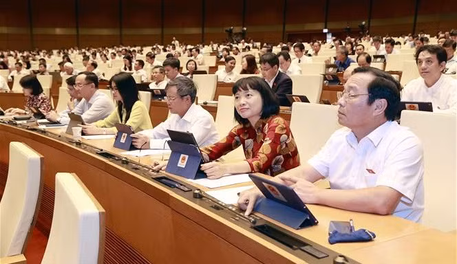 Ratifica Asamblea Nacional de Vietnam Ley de Licitación ảnh 1