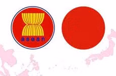 ASEAN y Japón firman acuerdos de cooperación económica ảnh 1