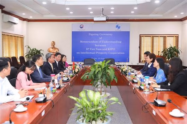 Fomentan Vietnam y Corea del Sur cooperación de propiedad intelectual ảnh 2 Fomentan Vietnam y Corea del Sur cooperación de propiedad intelectual ảnh 2