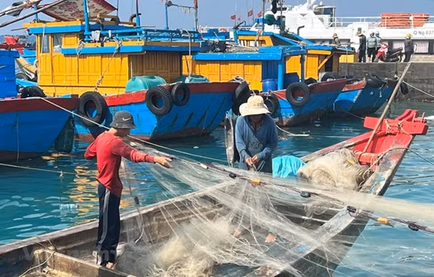 Provincia vietnamita trabaja duro para combatir la pesca ilegal ảnh 1