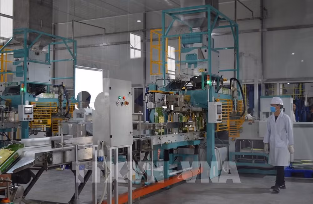 Adelantan panorama positivo de producción en Vietnam para segundo semestre ảnh 1
