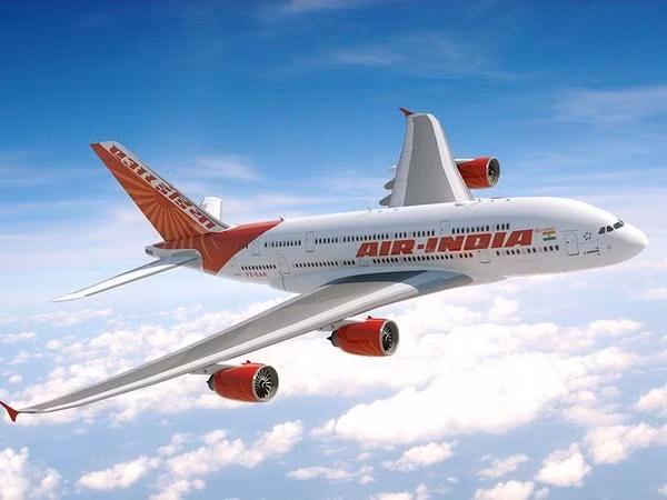 Air India inaugurará vuelo directo Nueva Delhi - Ciudad Ho Chi Minh ảnh 1