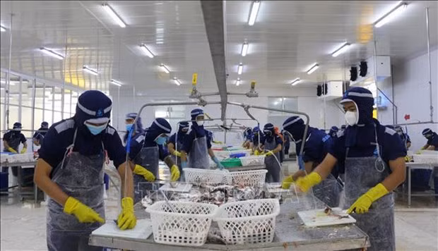 Número de nuevas empresas alcanza récord en el primer trimestre de 2024 ảnh 1