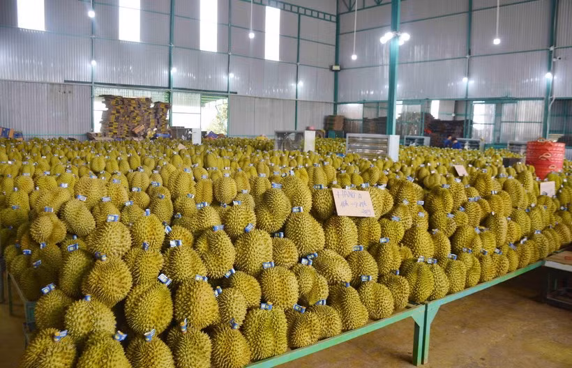 Productos agrícolas vietnamitas son más buscados en mercado internacional ảnh 1