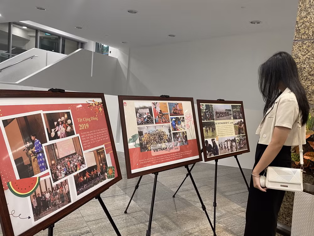 Alianza Juvenil Vietnamita en Singapur por seguir agilizando sus actividades ảnh 1