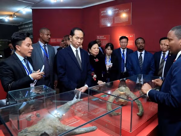 Presidente de Vietnam concluye visita estatal a Etiopía ảnh 1