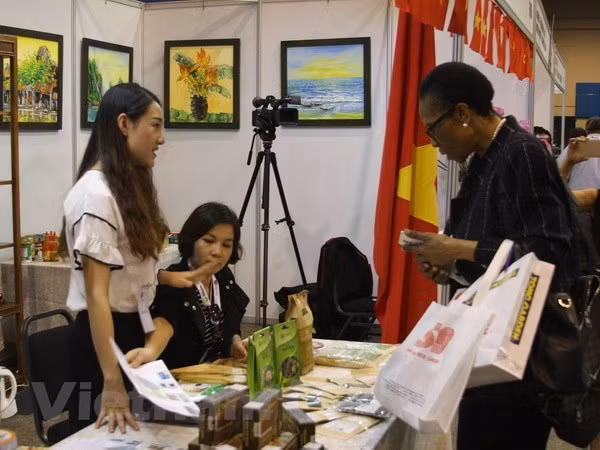 Embajador vietnamita destaca frutífera cooperación con Sudáfrica ảnh 1 Embajador vietnamita destaca frutífera cooperación con Sudáfrica ảnh 1