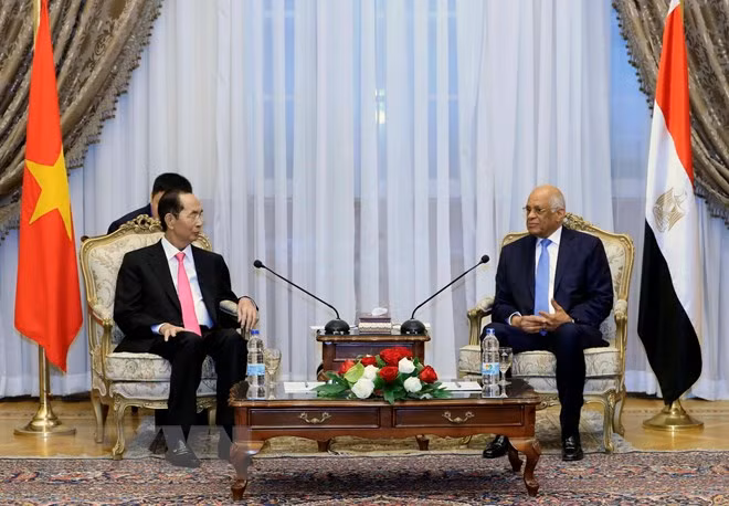 Presidente de Vietnam destaca nexos de amistad tradicional con Egipto ảnh 1