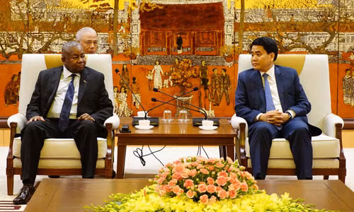 Impulsan cooperación entre Mozambique y Vietnam ảnh 1