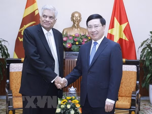 Vietnam aspira a fomentar las relaciones con Sri Lanka, afirma el vicepremier ảnh 1