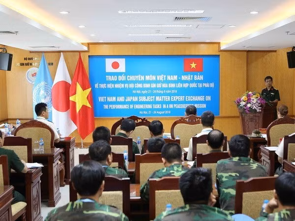 Vietnam y Japón comparten experiencias de mantenimiento de la paz ảnh 1