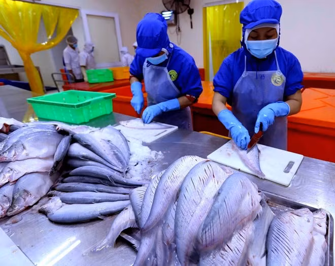 Vietnam logra resultados positivos en exportaciones agroforestales y acuícolas ảnh 1