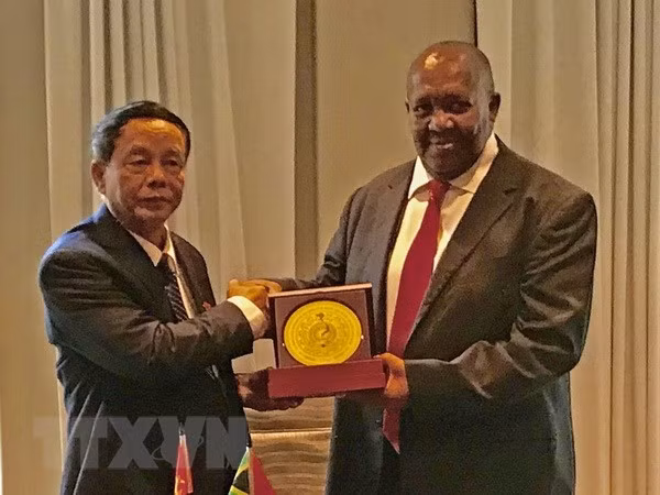 Vietnam y Sudáfrica fomentan nexos de cooperación en defensa y seguridad ảnh 1