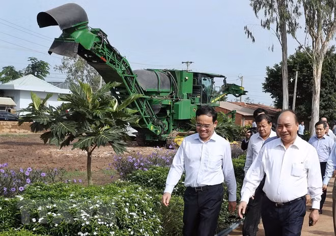 Premier de Vietnam visita modelos agrícolas de alta tecnología en Tay Ninh ảnh 1