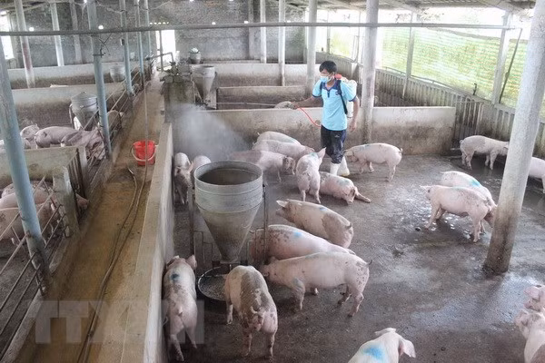 Publican sistema de información de salud animal de Vietnam ảnh 1