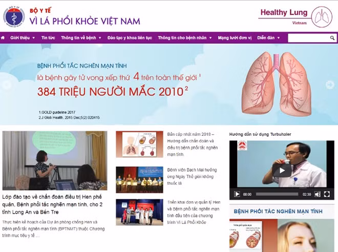 Presentan en Vietnam página web “Por un pulmón sano” ảnh 1