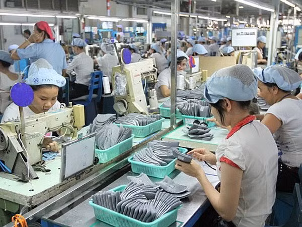 Provincia vietnamita de Dong Nai goza de ingreso multimillonario por exportaciones ảnh 1