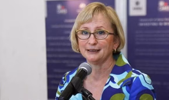 COC debe reforzar el papel central de la ASEAN, sugiere embajadora australiana ảnh 1