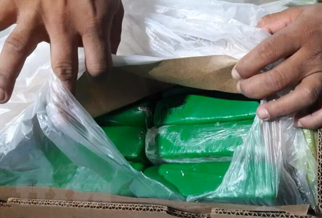 Camboya confisca casi 100 kilogramos de éxtasis escondidos en comida para mascotas ảnh 1