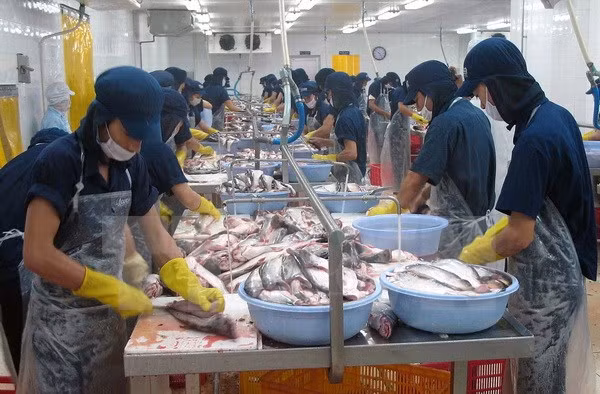 Vietnam saluda aprobación por el Senado de EE.UU. de eliminar supervisión a bagres ảnh 1