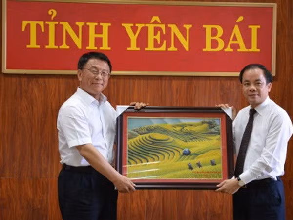 Delegación de Comisión china de Asuntos Étnicos visita provincia norvietnamita ảnh 1