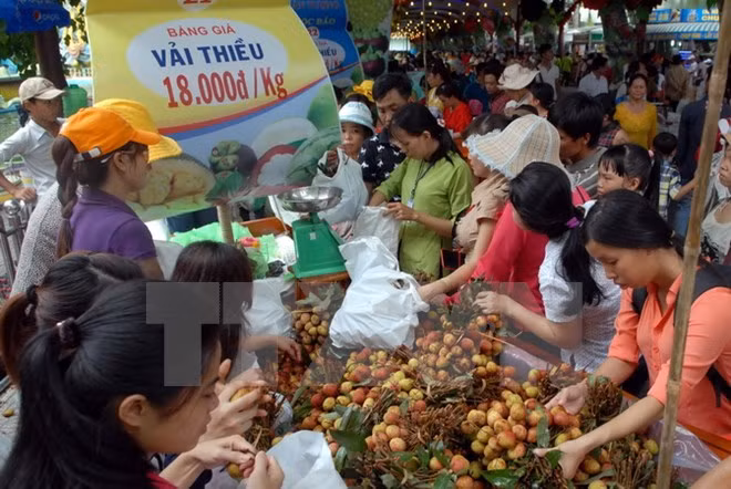 Festival de Fruta sureña resalta valores agrícolas de Vietnam ảnh 1