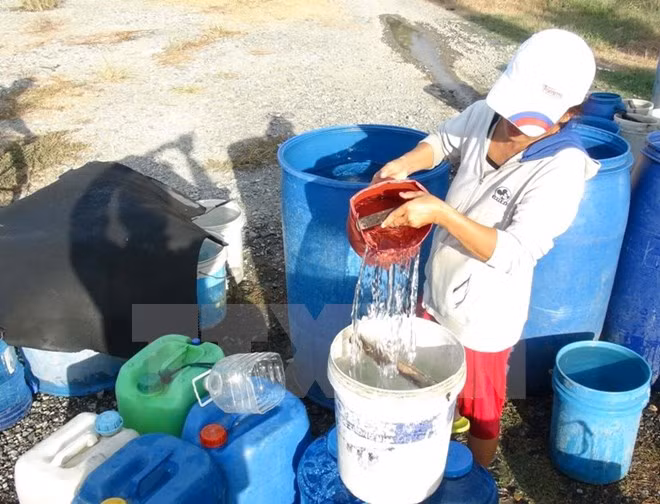 Japón concede ayuda a Vietnam en lucha contra sequía y salinización ảnh 1