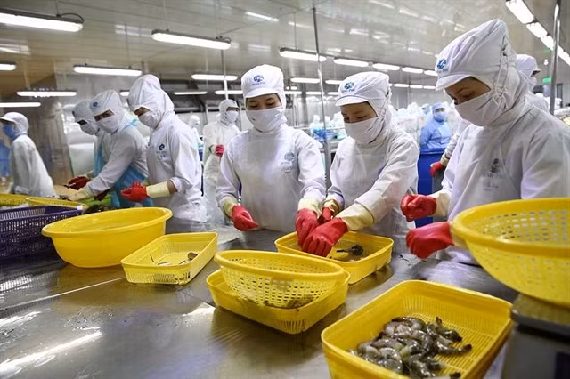 Invierte compañía japonesa más de 150 millones de dólares en empresa vietnamita de productos acuícolas ảnh 1