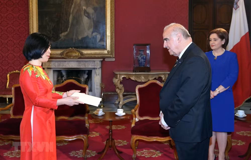 Vietnam aspira a fortalecer cooperación con Malta en diversos sectores ảnh 1
