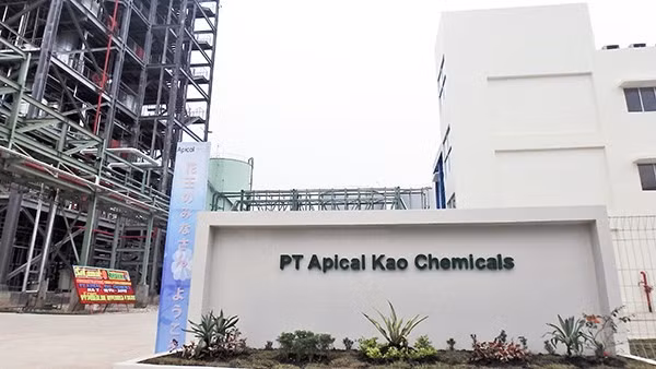 Construye empresa japonesa nueva fábrica de ácidos grasos en Indonesia ảnh 1