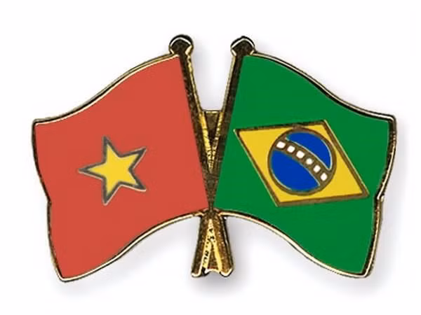 Vietnam celebra aniversario 30 de relaciones con Brasil ảnh 1